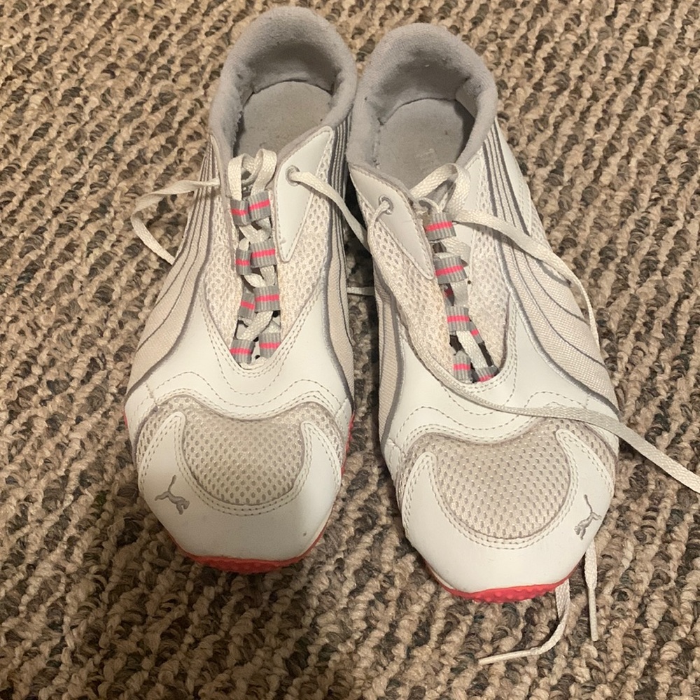 White pumas